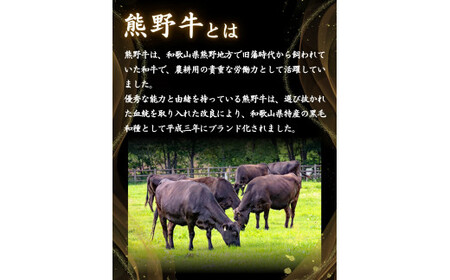 ＜熊野牛＞赤身ももステーキ　約120g×4枚 / 和歌山 田辺市 本宮 肉 牛肉 熊野牛 和牛 赤身 ステーキ 豪華 冷凍 ギフト 贈答【hcy007】
