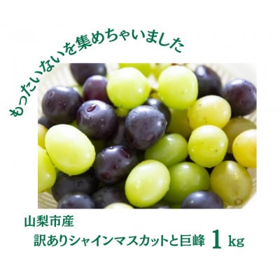 【2026年発送】訳あり カット シャインマスカット カット 巨峰 計1kg【配送不可地域：離島・沖縄県】