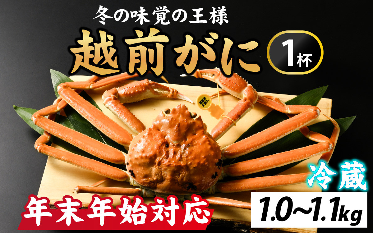 
            【12月26日受付分まで年内配送】[先行予約] 冬の王者！茹で越前がに1000-1100g　１杯 [N-065042] /  かに 蟹 ずわい ズワイ 茹でがに【年内発送 年内お届け】
          