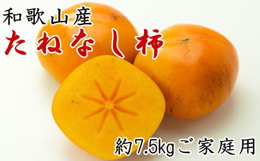 【秋の味覚】和歌山産のたねなし柿ご家庭用約7.5kg ※2024年10月上旬～11月上旬頃に順次発送