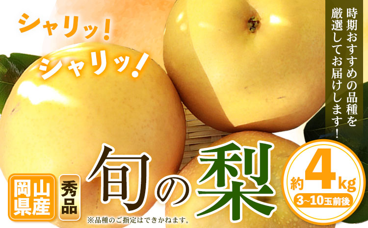 秀品 岡山県産 旬の 梨 約4kg 3～10玉前後 梨 秀品 新高 愛宕 スイーツ フルーツ デザート 旬 岡山県矢掛町《9月上旬-1月末頃に出荷予定》---ofn_ssn_af91_26_22500_4---