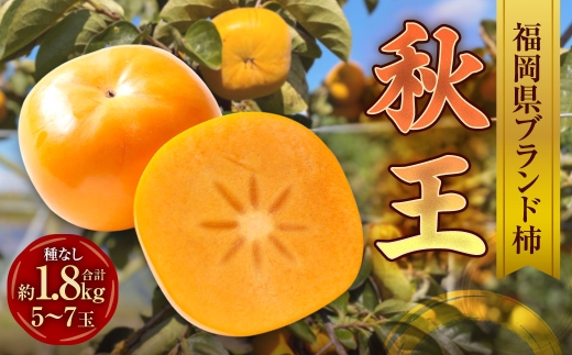 福岡県ブランド柿 秋王 5－7玉 約1.8kg 種無し 【2026年11月上旬－12月上旬発送予定】 果物 食感 くだもの 果実 フルーツ 柿 かき カキ 国産 福岡県産 ブランド ブランド柿 高級品種 甘柿