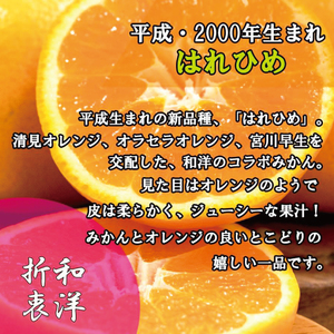 訳あり 家庭用 はれひめ S~3L玉 約5㎏ ( 訳あり はれひめ みかん 柑橘 松山 愛媛県 )【VEG006】