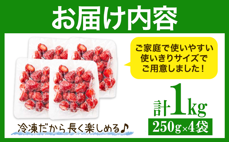福岡県産 冷凍あまおう 小分けパック 1kg(250g×4袋) 株式会社木村食品《90日以内に出荷予定(土日祝除く)》福岡県 小竹町 冷凍あまおう いちご 冷凍フルーツ 果物 送料無料---sc_fk