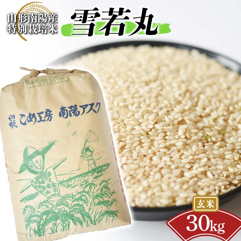 【ふるさと納税】 【金賞受賞農家】 令和7年産 特別栽培米 雪若丸 (玄米) 30kg 『あおきライスファーム』 山形南陽産 米 ご飯 農家直送 山形県 南陽市 [2601]