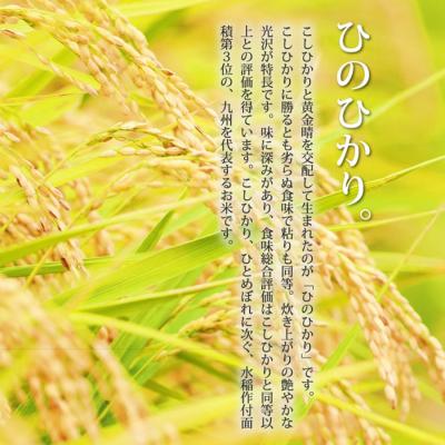 ふるさと納税 小郡市 米 10kg 配送当日に精米します 小郡産 特A 特別栽培米 ひのひかり[No5354-0265] |  | 01