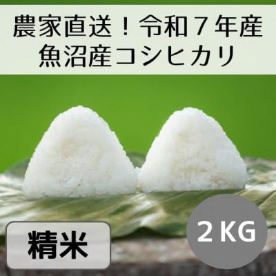 ふるさと納税 十日町市 【令和7年産】新潟県魚沼産コシヒカリ「山清水米」精米2kg