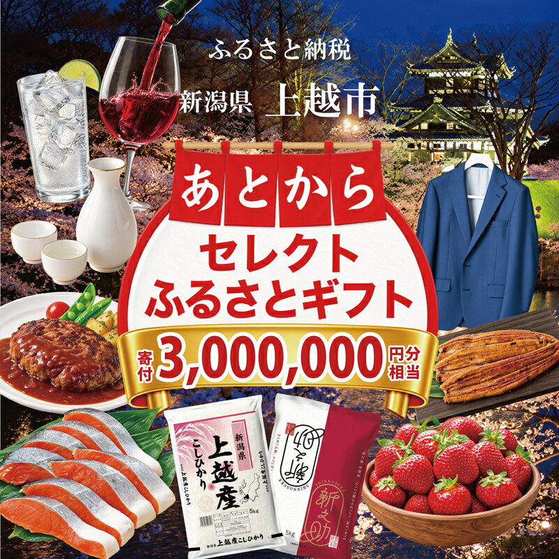 【ふるさと納税】上越市 あとからセレクトふるさとギフト 寄附3,000,000円相当