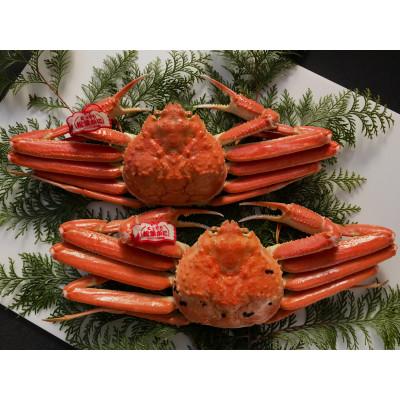 ふるさと納税 若桜町 【先行予約】鳥取県産　タグ付き浜茹で松葉がに　800g以上×2枚