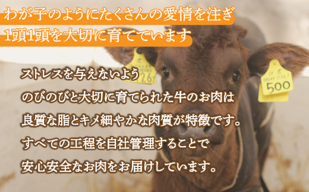 黒毛和牛 カドワキ牛 切り落とし 350～400g 牛肉 しゃぶしゃぶ すき焼き 冷凍 【 ふるさと納税 人気 おすすめ ランキング 肉 牛肉 和牛 しゃぶしゃぶ 牛すき焼き 切り落とし 大容量 おい