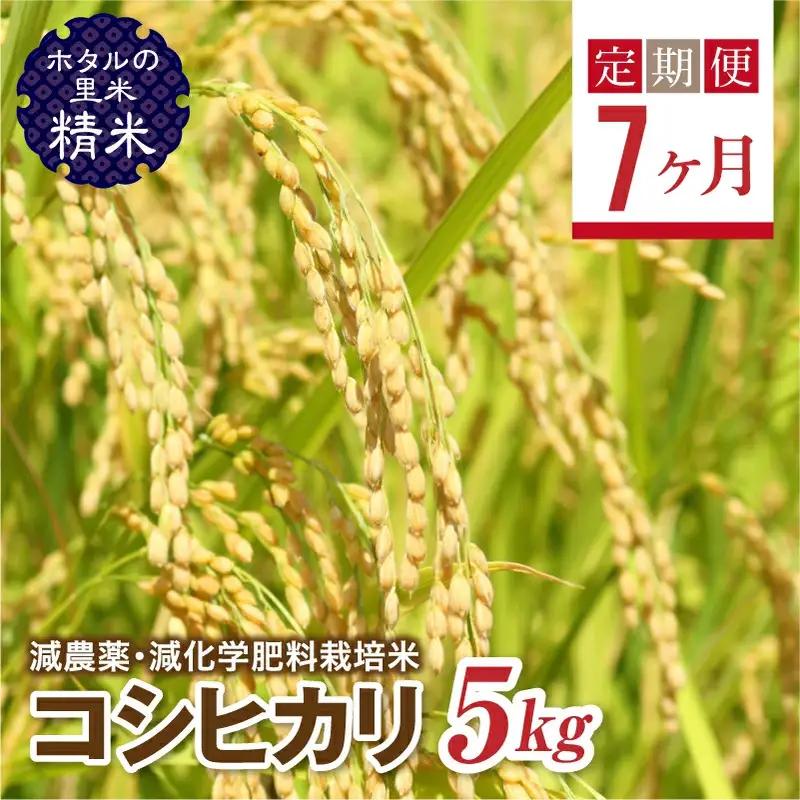  ＜定期便7ヶ月＞【ホタルの里米】環境に配慮し農薬を減らした栽培米 コシヒカリ精米5kg  F4D-2273