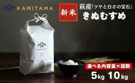 
                  【選べる！】きぬむすめ 令和8年 5kg～10kg 新米 米 コメ こめ 萩産 KAMITAMA
                