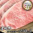 【ふるさと納税】受賞歴多数!! 宮崎牛 ロースステーキ 250g×2【合計500g】宮崎県産 肉 和牛 黒毛和牛 国産 冷凍 父 母 敬老 お祝い 内祝い お中元 お歳暮 贈り物 ギフト 誕生日 プレゼント BBQ キャンプ 焼き肉　焼肉 ロース ステーキ アウトドア 厳選 ブランド牛 おすすめ