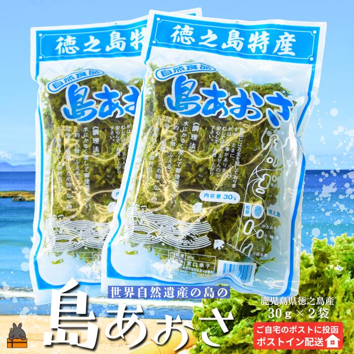 【ふるさと納税】《2026年とれたて！》煌きの海からの恵み！島あおさ（2袋）【ポストイン配送】( アオサ のり 海苔 海産物 お味噌汁 食材 海 新鮮 徳之島 奄美 鹿児島 美味しい )