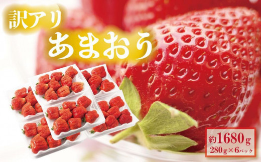 【2027年4月出荷予定】訳あり あまおう 280g×6パック(約1680g)＜配送不可：北海道、沖縄県、離島＞