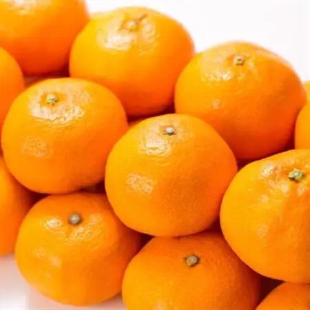 ブランド有田みかん 秀品5kgLMS【サイズおまかせ】薄皮で甘い美味しいみかん【1220664】