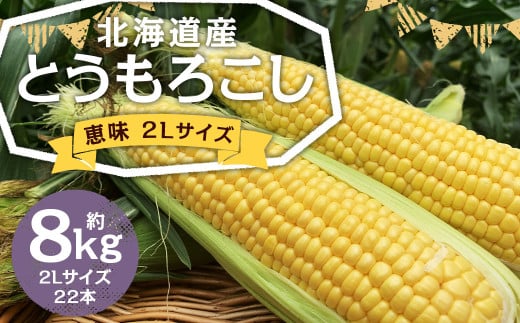 北海道産 とうもろこし 恵味 2Lサイズ 22本 約8kg 1箱 国産 トウモロコシ 冷蔵 【2025年8月上旬-8月下旬迄発送予定】