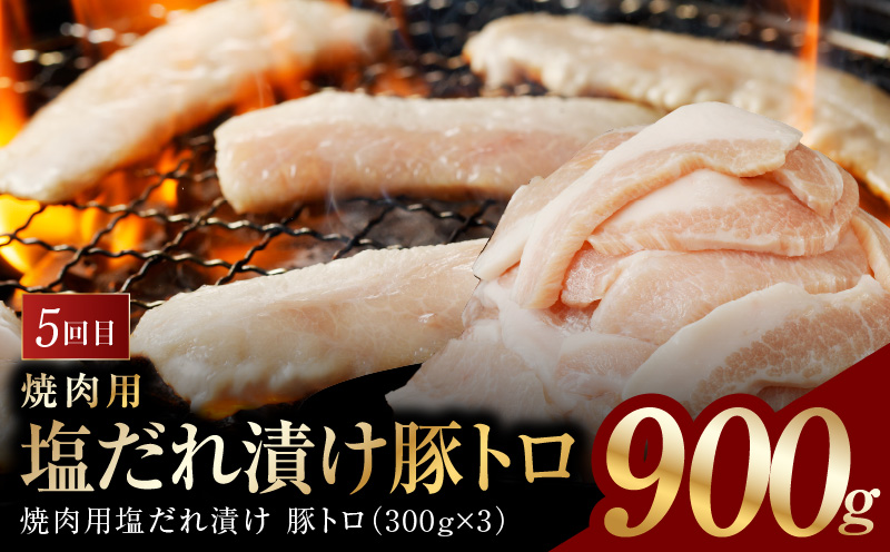 アキラ商店 肉三昧 わくわく 定期便 全5回【毎月配送コース お楽しみ 焼肉 ていきびん 焼くだけ 小分け BBQ やきにく 数量限定】 099Z128