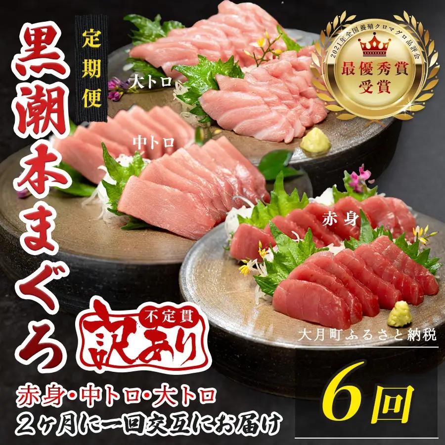 訳あり 不定貫 定期便 6回 高知県産 本マグロ 大トロ・中トロ・赤身 月替わり (PT0080_0478)