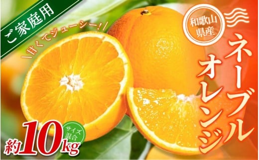 【ご家庭用】手選別 ネーブルオレンジ 約10kg 和歌山県産 2S~2Lサイズ混合※2026年1月上旬～2月中旬頃に順次発送【mrmt035】