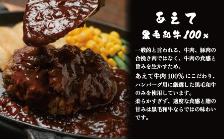 【国産黒毛和牛】ハンバーグ 100% 5個 計900g 小分け 冷凍ハンバーグHW002