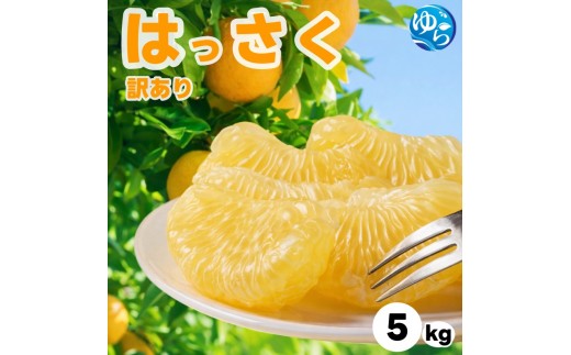 
                  和歌山県産 はっさく 訳あり 5kg  サイズおまかせ / 八朔 ハッサク 柑橘 果物 和歌山 ※2027年2月中旬～3月中旬に順次発送予定 ※北海道・沖縄・離島配送不可 【eiw021-c-5】
                