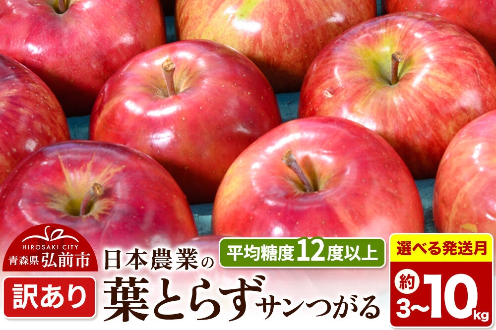 
                  りんご 葉とらずサンつがる【訳あり】平均糖度12度以上【選べる約 3kg／5kg／10kg×26年9月クール便／26年10月 発送】青森県産 果物 フルーツ 林檎 リンゴ くだもの 不揃い 規格外 [家庭用 産地直送 アップル 青森県 弘前市]
                