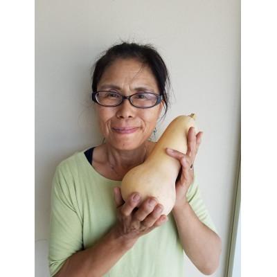 ふるさと納税 大刀洗町 「TACHIARAI」おいしかぁ〜便 (夢つくし2kg入)1〜2人暮らし向け |  | 02