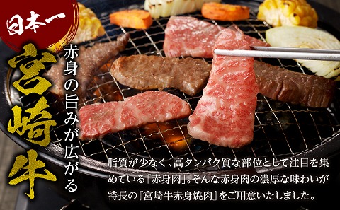 宮崎牛赤身焼肉　計800g