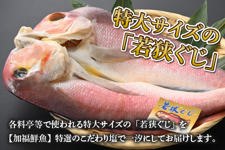 【加福鮮魚】若狭ぐじ 一汐開き 1尾 800g　甘鯛 タイ アカアマダイ 焼き魚 高級[C-015003]