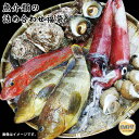 【ふるさと納税】B24-486 魚介類の詰め合わせ 鳥取県 水揚げ 詰め合わせ 山陰 新鮮