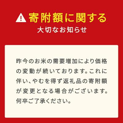 ふるさと納税 村山市 令和7年産 はえぬき精米10kg(5kg×2袋) |  | 01