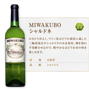 マルサン葡萄酒 白ワイン飲み比べ 甲州 百 MIWAKUBO シャルドネ 醸し甲州 3本セット（MG）C1-487【ワイン マルサン葡萄酒 白ワイン オレンジワイン 甲州市 山梨県】