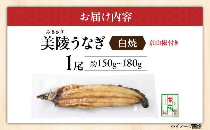 【お中元対象】鰻 鰻の白焼 1尾 BLAM002