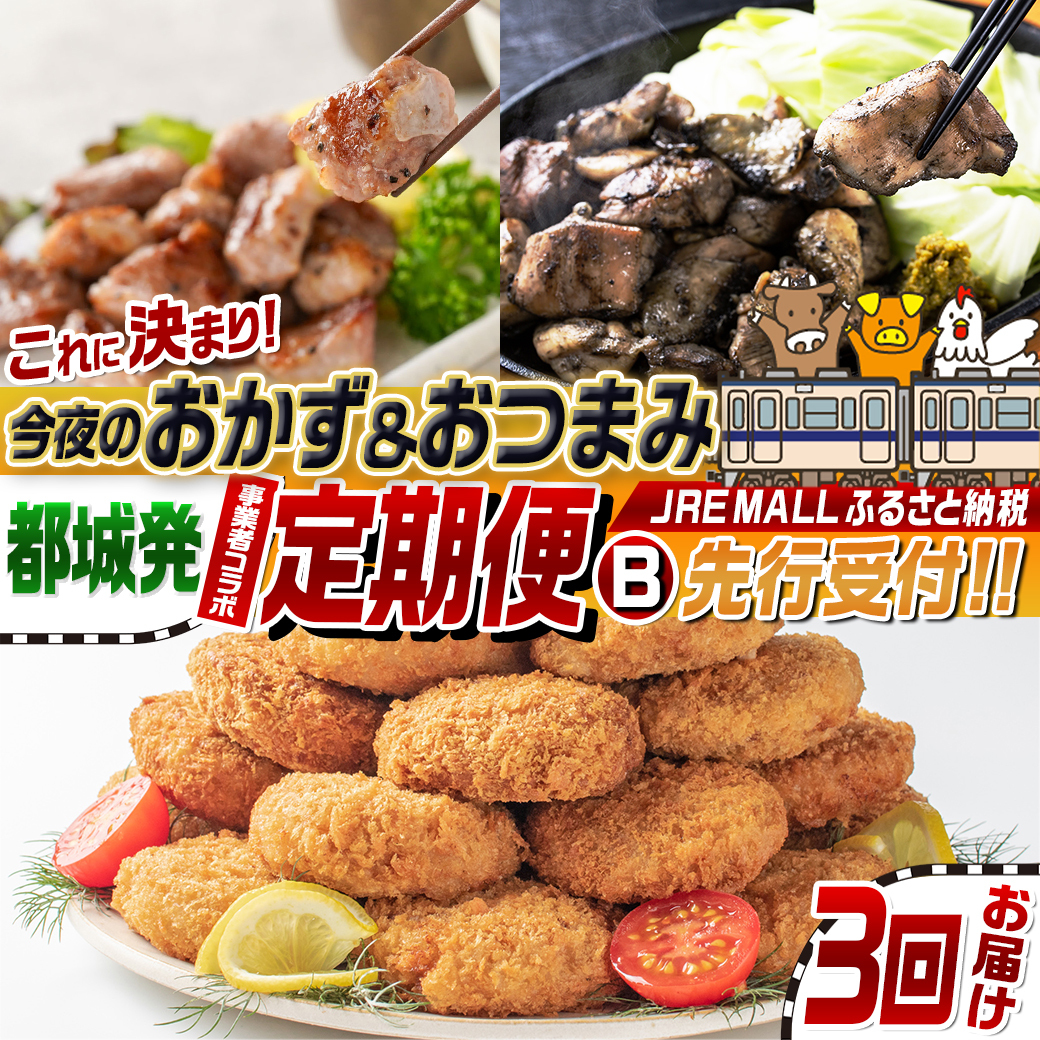 【事業者コラボ定期便】今夜のおかず＆おつまみはこれに決まり！3回定期便B