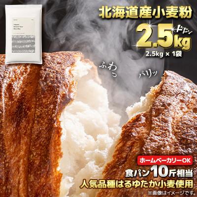 ふるさと納税 室蘭市 北海道産 はるゆたかブレンド小麦粉 シルバーライズ(パン用強力粉)2.5kg