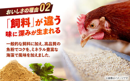　【朝採れ直送】小峰鶏園 赤たまご Mサイズ 90個 / 卵 玉子 たまご 卵焼き 玉子焼き 生卵 鶏卵 卵かけごはん / 諫早市 / 小峰鶏園[AHFB002]