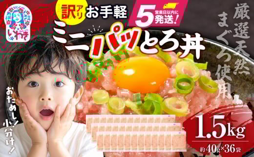 ねぎとろ使い切りパック　約1.5kg（約40g×36パック）| まぐろ まぐろたたき ねぎとろ マグロ パーティー 使い切りパック 海鮮丼 お寿司 軍艦巻き 福島県 いわき市 父の日【DK011-1500g】