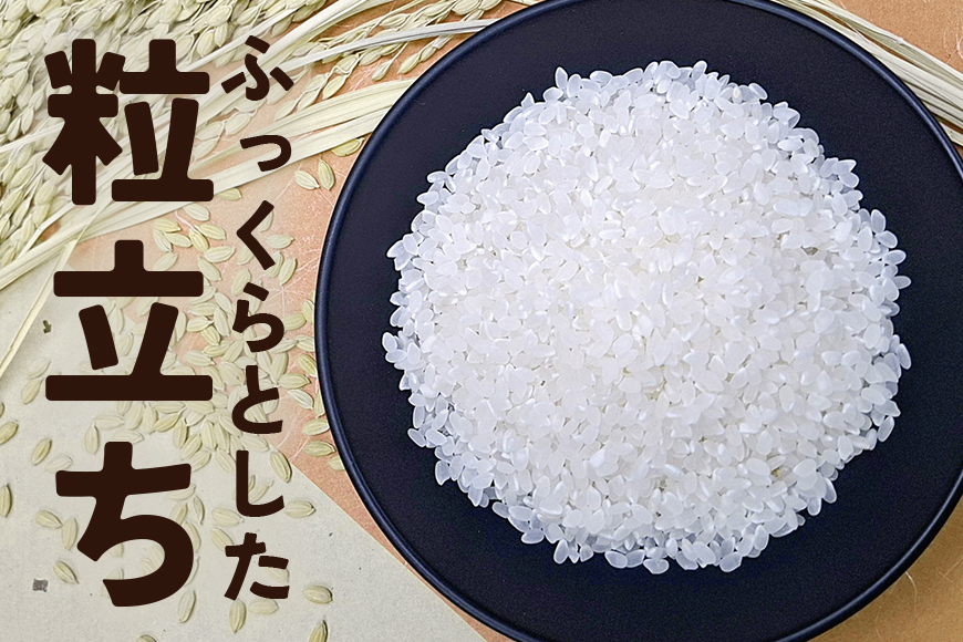 【3カ月定期便】 令和7年度 笠間産 コシヒカリ 5kg (5kg×3回 計15kg) 精米 定期便 米 白米 こめ コメ ご飯 ごはん 農家直送 産地直送 国産 茨城県 笠間市 青木商店 【6月末ま