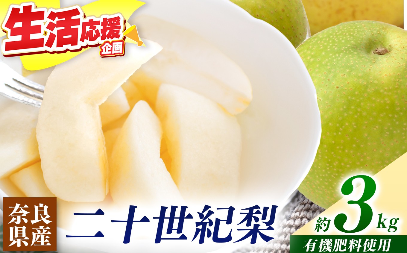 
            梨子本農園 の 梨 （ 二十世紀 ）約 3kg  | フルーツ 果物 くだもの 梨 なし ナシ 奈良県 五條市 家庭用 自宅用 産地直送 農家直送 国産 人気 送料無料 甘い 酸味 ベスト グルメ お取り寄せ  10月 9月 順次発送 秋 旬 味覚 有機肥料 こだわり 安全 多汁 ジューシー シャリシャリ シャキシャキ みずみずしい 果肉 果実 おすすめ
          