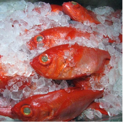 【数量・期間限定】　金目鯛 天日干しひもの 2枚 詰合せ【配送不可地域：離島】