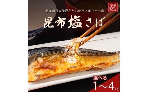 
                  訳あり サバ さば 塩さば 塩サバ 塩鯖 昆布 昆布塩 冷凍 フィレ フィーレ 切り身 大容量 【四国中央市 紙のまち 日本一】
                