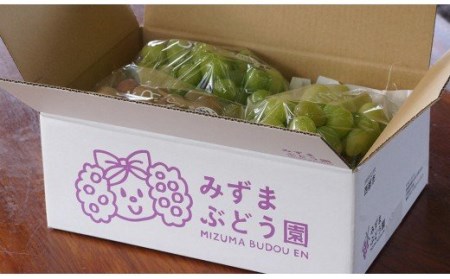【先行予約】シャインマスカット＆クイーンニーナ　約2.2kg　西都産完熟ぶどう味比べ　水間ぶどう園＜2-3＞