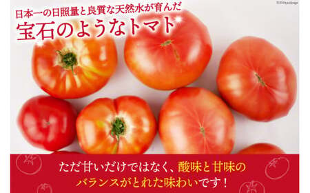 【2026年発送】 春作 訳あり 桃太郎トマト 約4kg [ヨダファーム 山梨県 中央市 21470975] 規格外 家庭用 不揃い トマト とまと 野菜 やさい 4キロ 季節限定 期間限定 産地直送