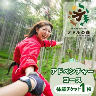 
            オドルの森　アドベンチャーコース　1名様利用券_フォレストアドベンチャー 湯の山 体験 チケット レジャー アクティビティ 三重県 菰野町 人気 おすすめ 送料無料【1269363】
          
