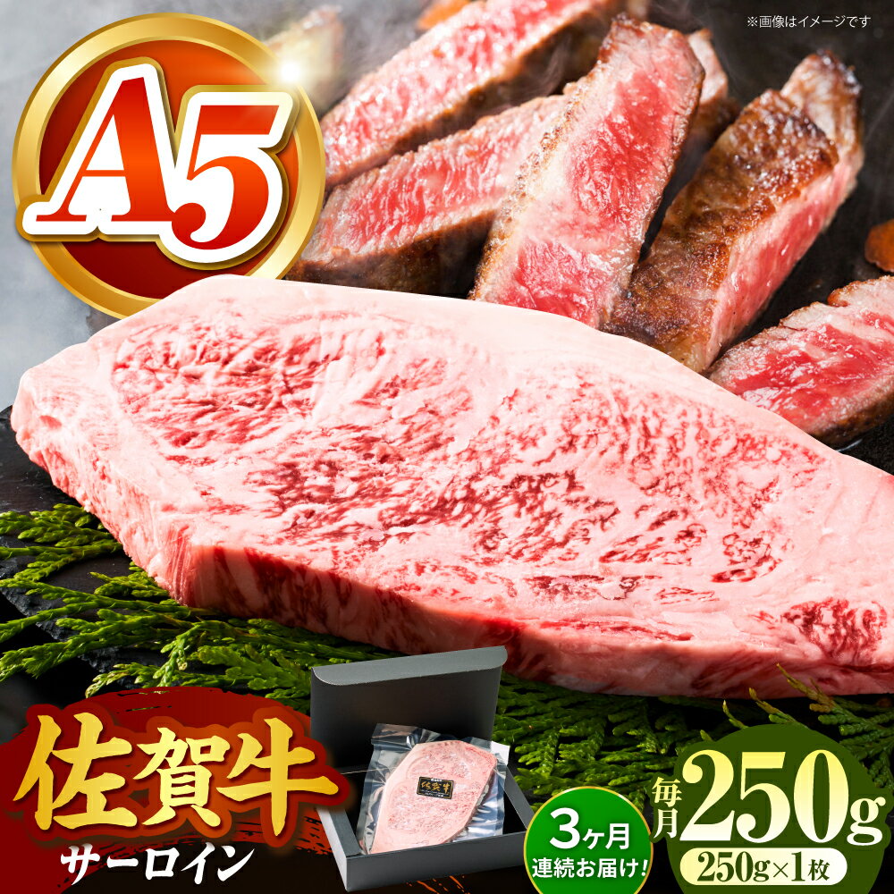 【ふるさと納税】【全国有数のブランド牛】＜全3回定期便＞佐賀牛サーロインステーキ 250g【がばいフーズ】[HCS053] / A5ランク 黒毛和牛 牛肉 佐賀県 江北町 国産牛 国産 ステーキ 焼肉 BBQ サーロイン ロース 冷凍 冷凍発送 冷凍配送 送料無料 定期便 45000 45000円