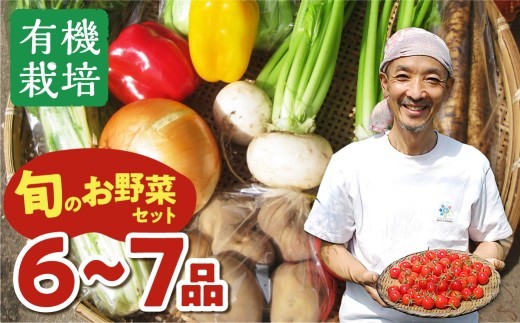 《令和8年産 先行予約受付中》野菜の栄養価コンテストグランプリ農家が贈る 無農薬栽培野菜 6～7品 ＜配送希望無し＞ ありがとうファーム お野菜のレシピ付き