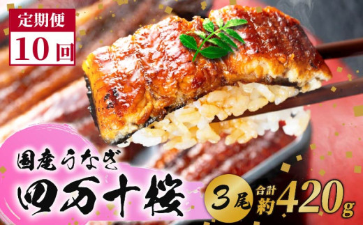 【通常用】【10回定期便】極上国産うなぎ四万十桜 蒲焼き約140g×3尾 | 完全無投薬 うなぎ 鰻 蒲焼き 定期便 国産 調理済み タレ付き  ギフト お歳暮 お正月 高級 人気 お取り寄せ グルメ 食べ比べ 冷凍