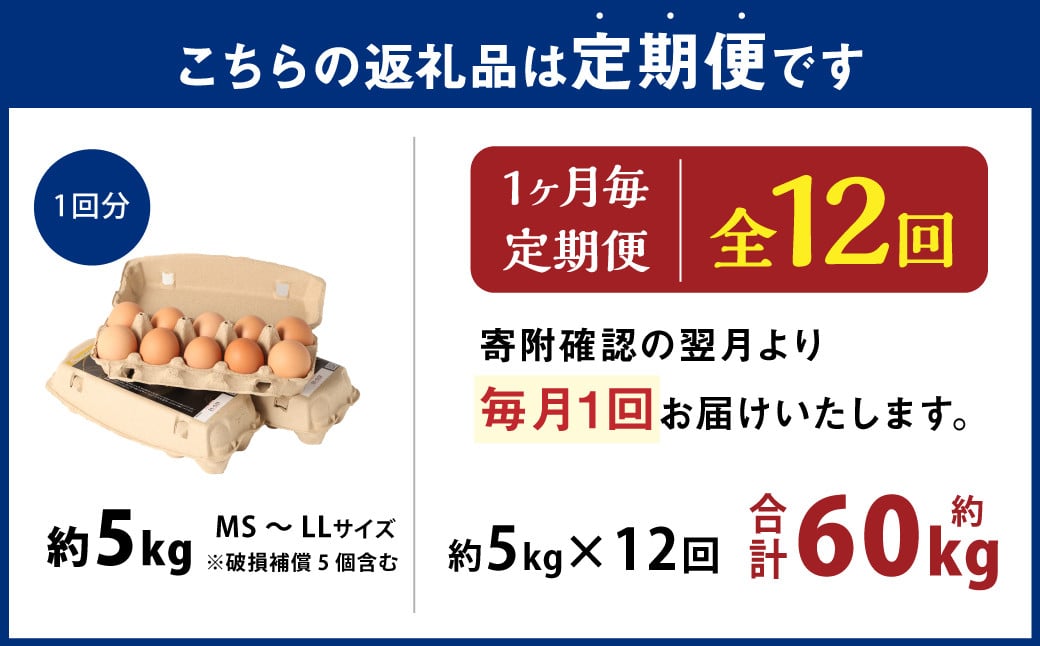 【12ヶ月定期便】 大分県 九重町産 平飼いニワトリの池田卵 ミックスサイズ MS～LLサイズ 計約60kg（約5kg×12回）