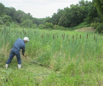 農地等草刈作業代行サービス（1000㎡以下）